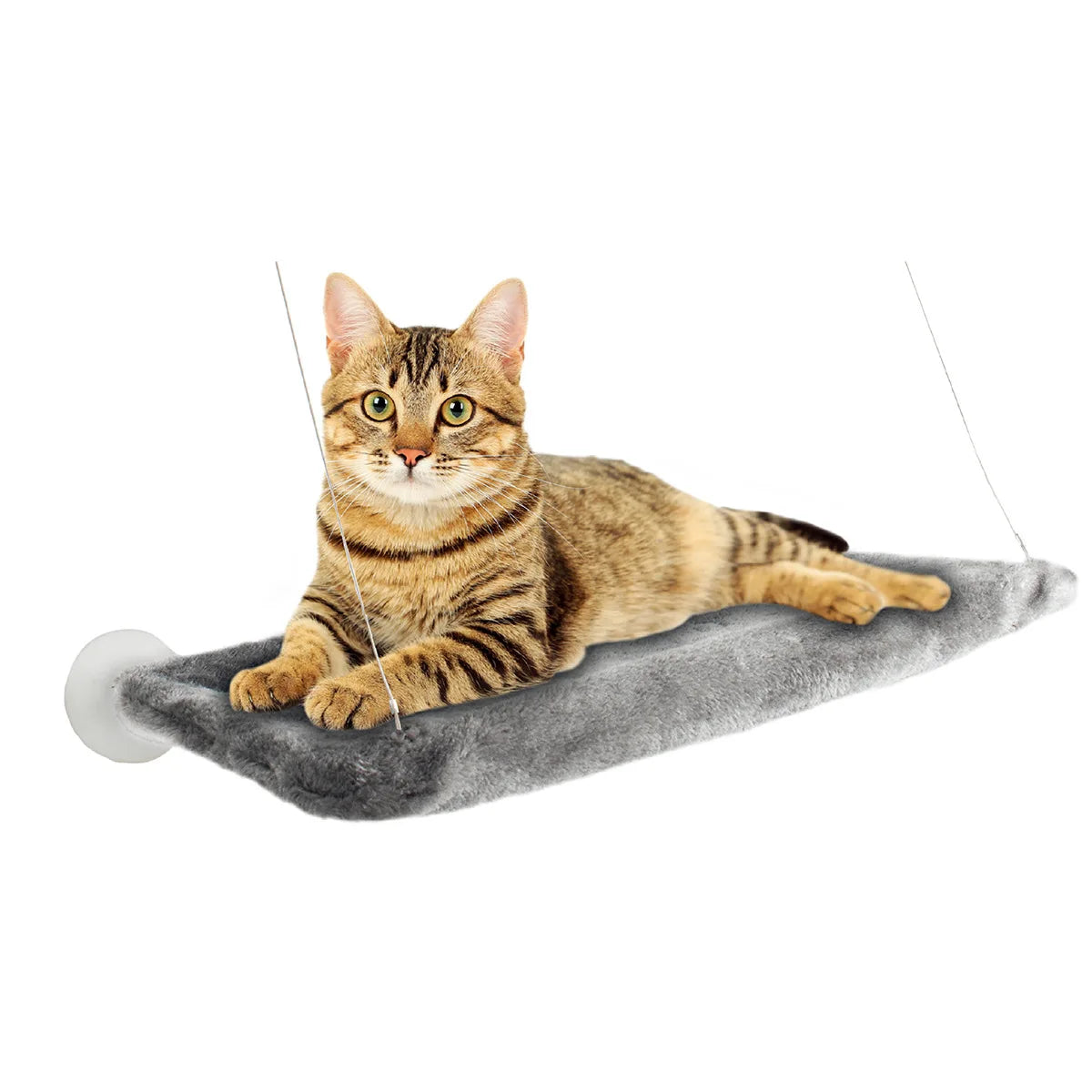 Cat Window Perch Bed - Sunny Spot Window Hammock